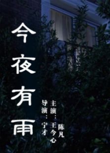 今夜有雨