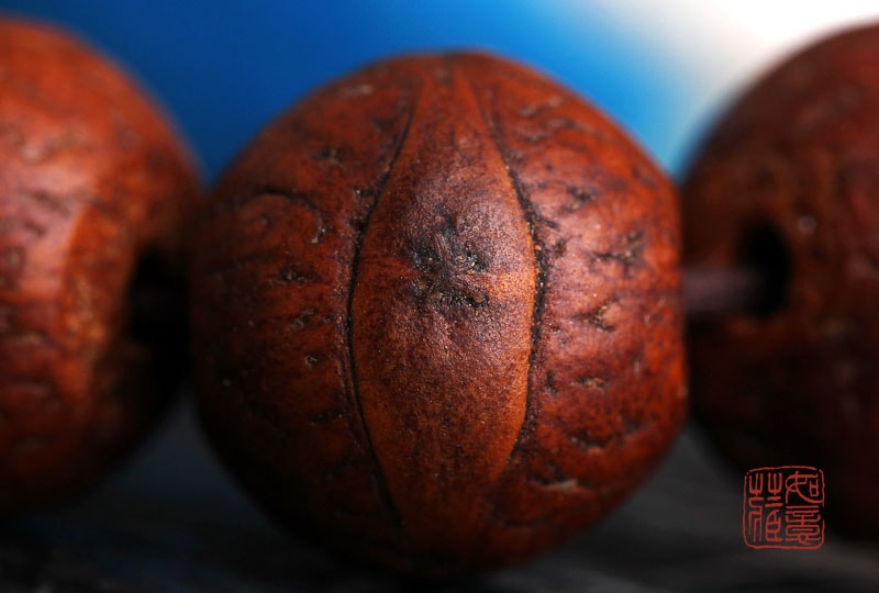 http://www.omega3-ala.com/pics/default/download/997602aefba871fa2aa094c4657a1c9f.jpg