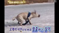 【高清】俞承豪人狗奇緣花絮