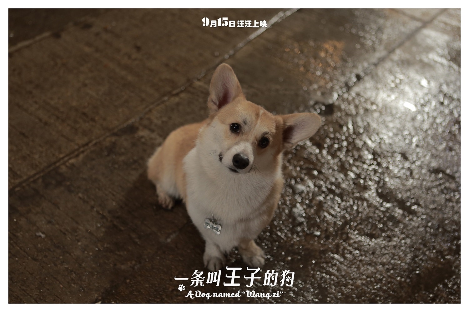http://www.omega3-ala.com/pics/default/download/99eb57a7046266d063a9bf916829e505.jpg