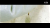 【塵遠MV】活色暗香 （霆峰 陳偉霆 李易峰）