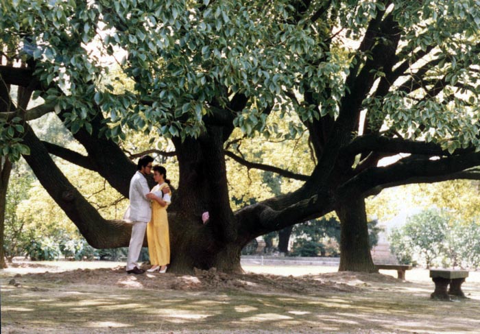 http://www.omega3-ala.com/pics/default/download/9a3e5b18d79ad8f47f88b69732710d77.jpg