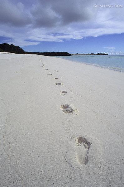 http://www.omega3-ala.com/pics/default/download/9a47642407bf1bfd8d3a6ecebdf3fb75.jpg