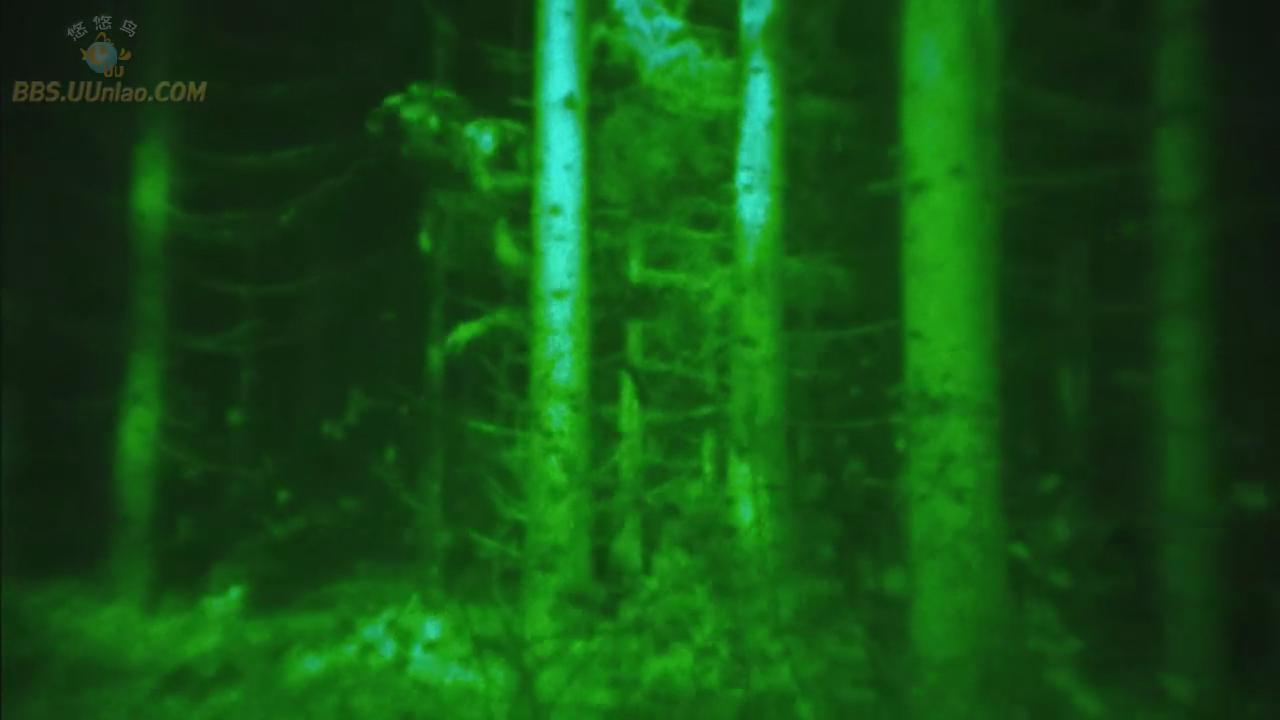 http://www.omega3-ala.com/pics/default/download/9a532acfe1e99a9bc6b40c54009b9d1c.jpg