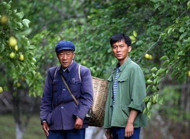 http://www.omega3-ala.com/pics/default/download/9a63db6aeb3454ee7659e0c219c16128.jpg