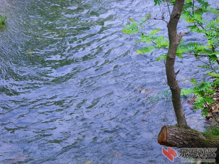 http://www.omega3-ala.com/pics/default/download/9b176ae29c78ce4f366c5ed779a87f4d.jpg