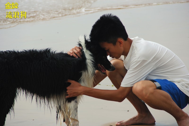 http://www.omega3-ala.com/pics/default/download/9b3ef285239f57548dd78e14f0046c90.jpg