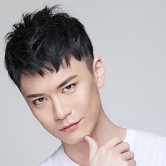 黃鶴立