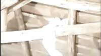 《嘉慶游臺灣》之素月