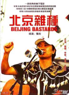 北京雜種