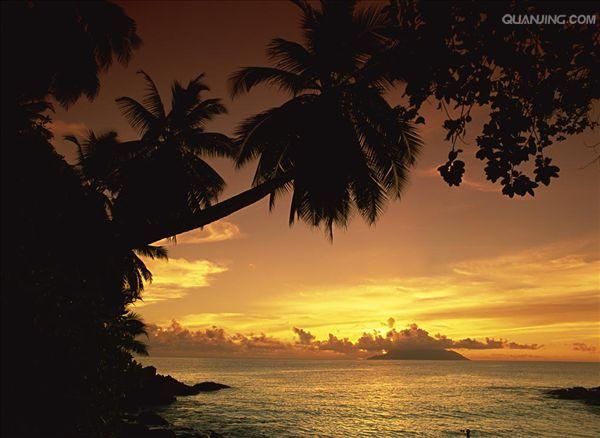 http://www.omega3-ala.com/pics/default/download/9c79f74956b942f52d296d0b9be269d6.jpg