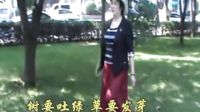 祖國(guó)贊美詩(shī) 萬(wàn)素蘭唱 字幕