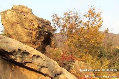 http://www.omega3-ala.com/pics/default/download/9d1f12ca2ef9a7a98996bb18f8954f6f.jpg
