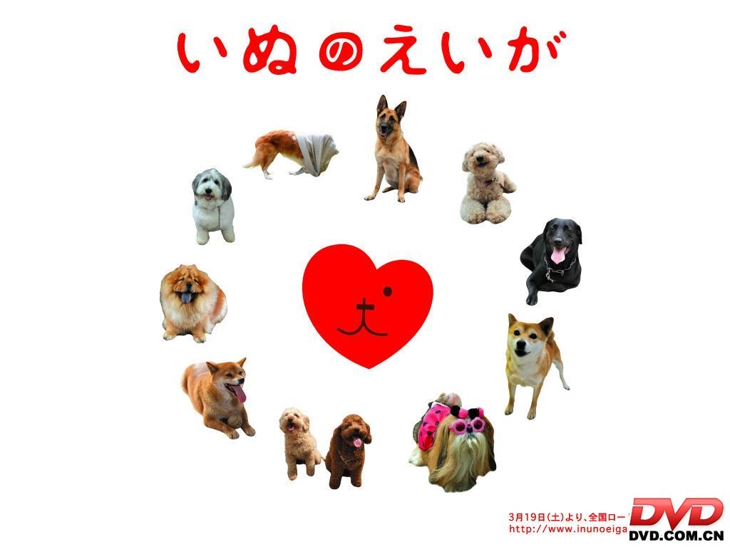 http://www.omega3-ala.com/pics/default/download/9d2eeb60d8298b3568049868797c99bf.jpg