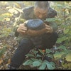 http://www.omega3-ala.com/pics/default/download/9d4eb8e9c9853ee8ff6c6872d4445bba.jpg