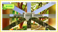 華中師范大學2016新媒體大賽-微視頻-《我在華師很幸福》