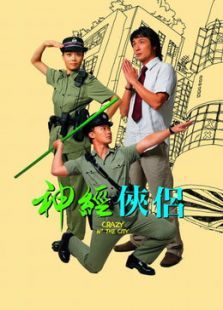 神經俠侶
