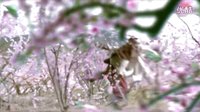 《新蕭十一郎》首曝片花 嚴屹寬李依曉甘婷婷虐戀
