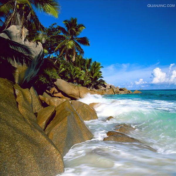 http://www.omega3-ala.com/pics/default/download/9ef13b8544d7896e6d5092a795bce418.jpg
