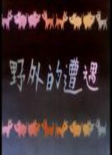 野外的遭遇（微電影）