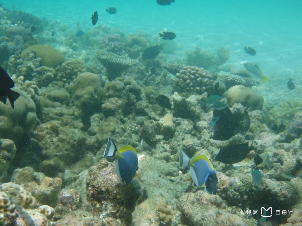 http://www.omega3-ala.com/pics/default/download/9f6ff1b293f95f371cec16a1522cde3c.jpg