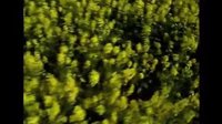 笑傲江湖李亞鵬版綠竹巷