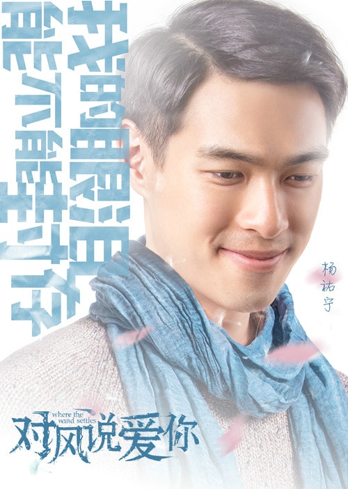 對風說愛你 單人款海報