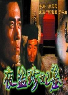 夜盜珍妃墓