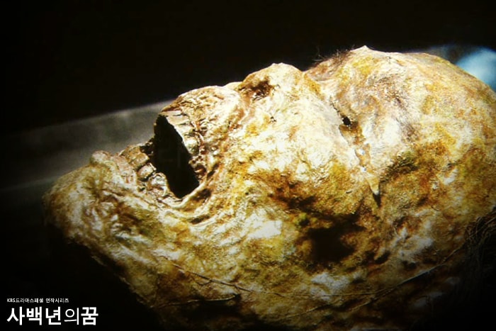 http://www.omega3-ala.com/pics/default/download/9ff577f024735f9723121d7d47686ddb.jpg