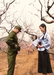 桃花戀