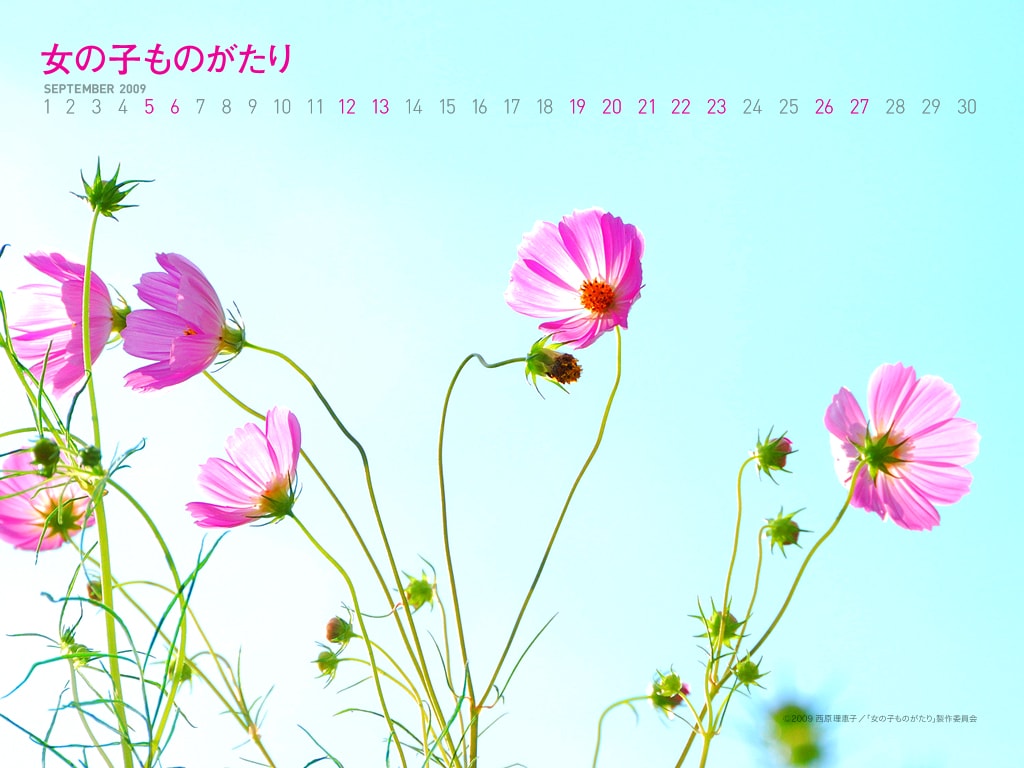 http://www.omega3-ala.com/pics/default/download/a0e3884b7f9edc3bb7e348d1bd8bbdf3.jpg