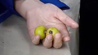 重慶電視臺大型電視系列劇《追尋感動》之《遠山的小百合》