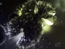 《遠(yuǎn)古入侵：新世界》片頭