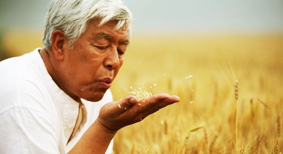 http://www.omega3-ala.com/pics/default/download/a16898ebfbda029e88c027328f5b07be.jpg