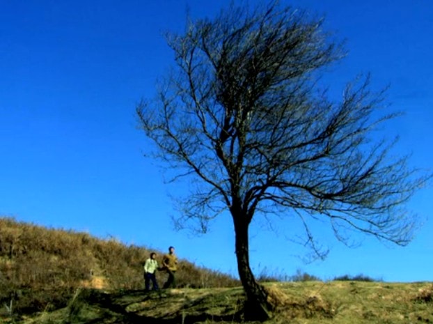 http://www.omega3-ala.com/pics/default/download/a17a68f04eec386ae4aec315d495cbb0.jpg