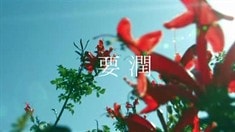 先行版預告片1