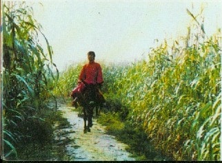 http://www.omega3-ala.com/pics/default/download/a29f671803f2ce424db27e7c84bfa3f5.jpg