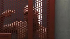 預告片1