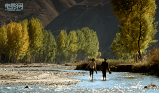 http://www.omega3-ala.com/pics/default/download/a33135a2fa5c1411eaecc97cc597d872.jpg