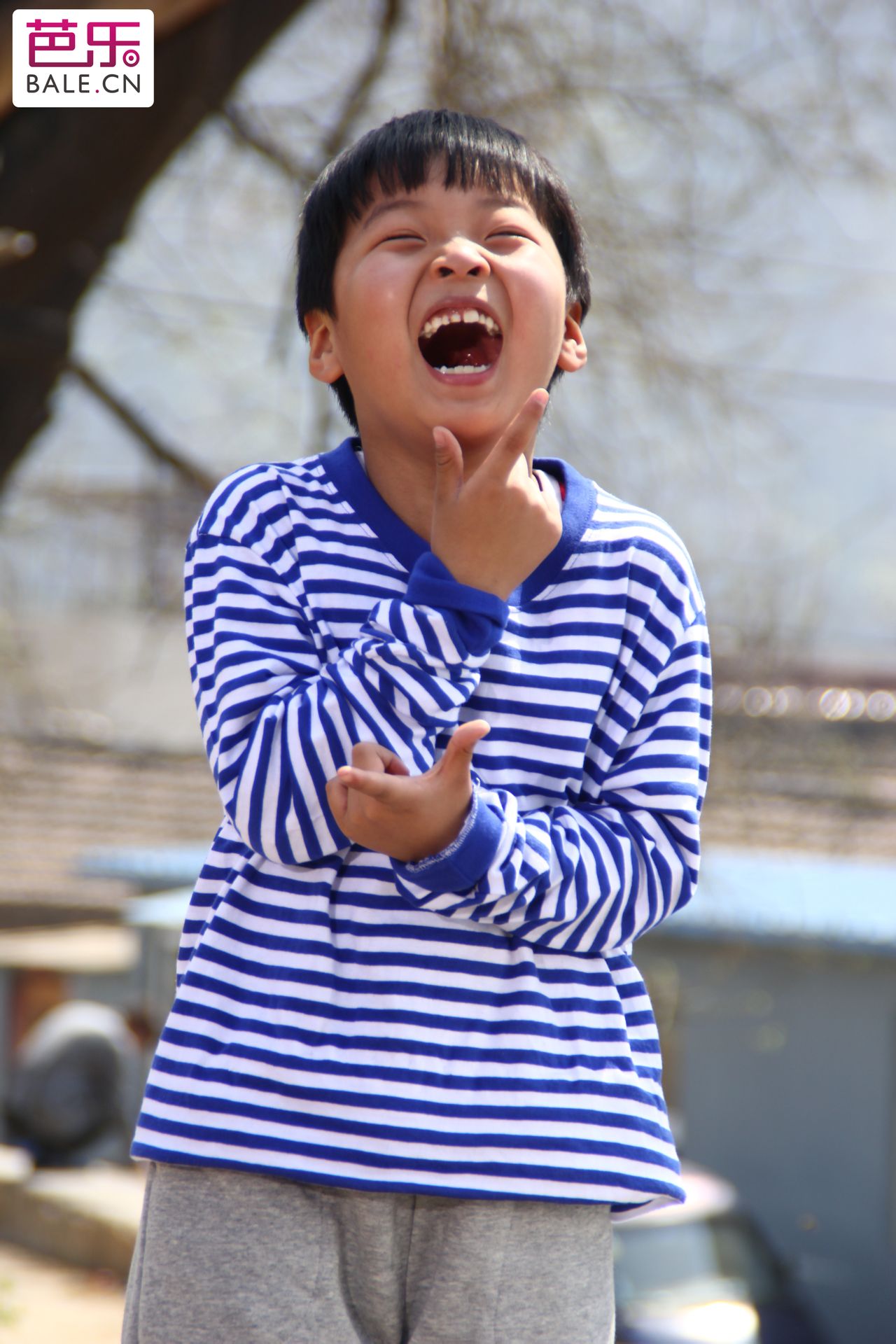 http://www.omega3-ala.com/pics/default/download/a4395291671701f3460f8589ecfdb64c.jpg