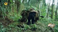 解密 TV版 《解密》容金珍鄭當(dāng)遭遇伏擊 韓冰出手相救戰(zhàn)斗力爆表