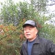 尼格木圖