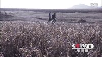 《闖天下》預(yù)告片