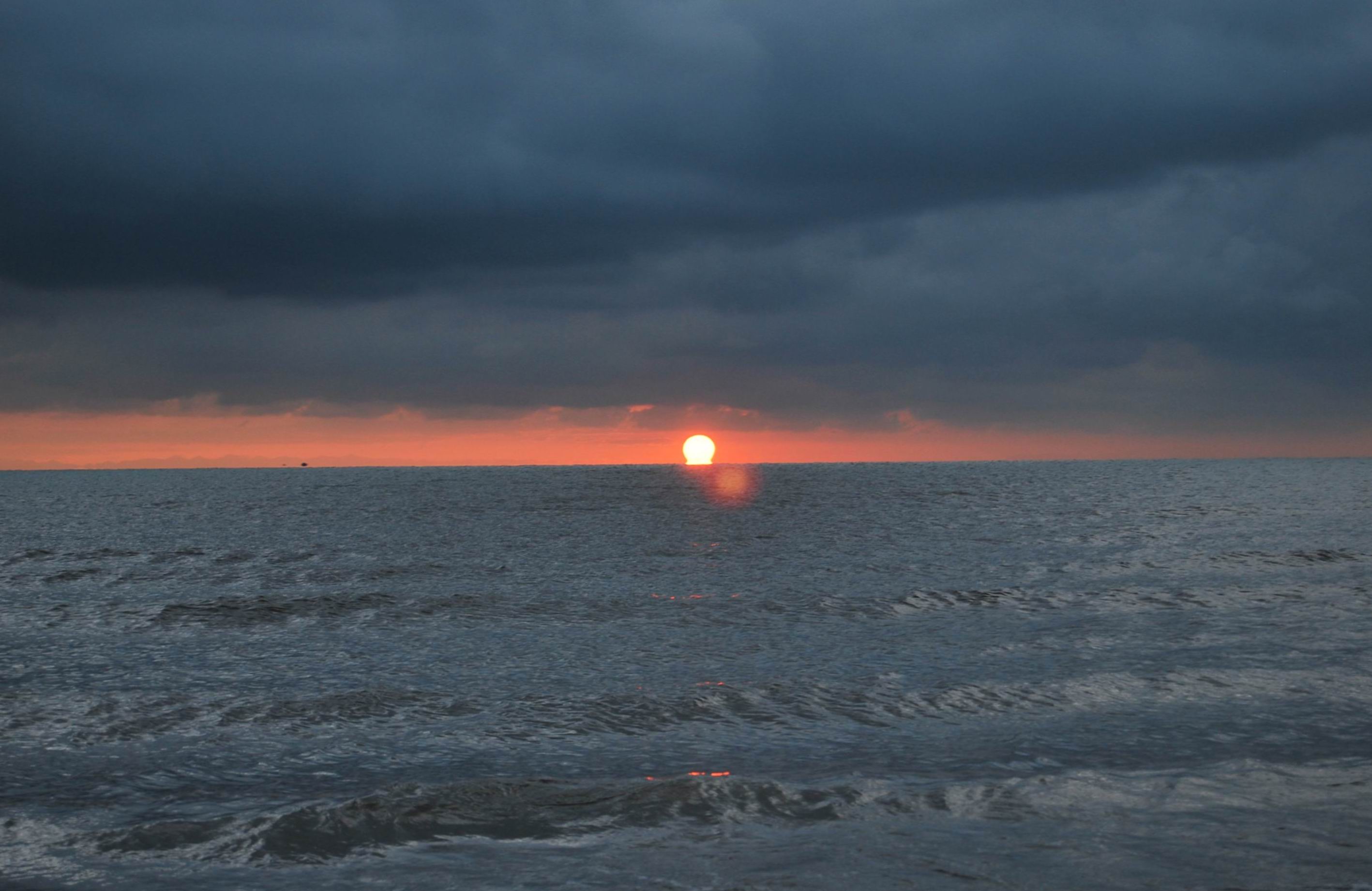 http://www.omega3-ala.com/pics/default/download/a719f2ccf5fa8eb44133434b7389f9f6.jpg