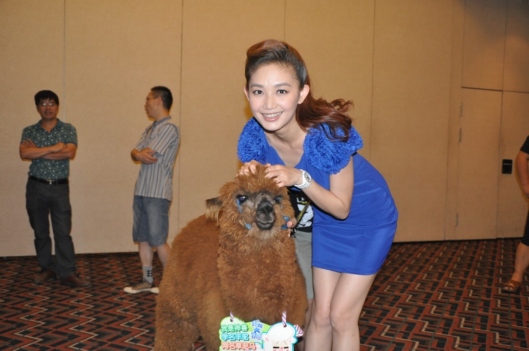 http://www.omega3-ala.com/pics/default/download/a76418232cd4109950993dc8a1d6855a.jpg