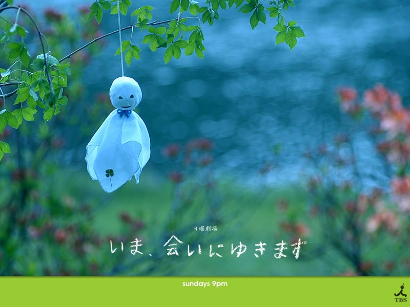 http://www.omega3-ala.com/pics/default/download/a7716fd671f6dc23f8da35070fc71de1.jpg