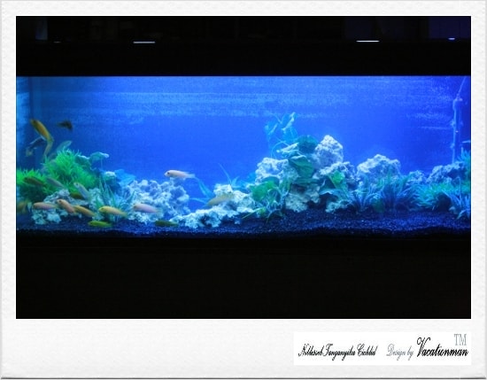 http://www.omega3-ala.com/pics/default/download/a7cc9d38732f056f7723c617af0f265e.jpg