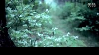 一眼萬年——電影《柳如是》剪輯