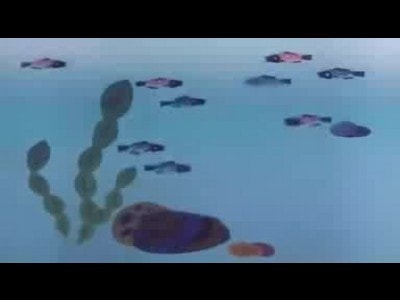 http://www.omega3-ala.com/pics/default/download/a80f7da9f479afcec37b3971e1ec0805.jpg