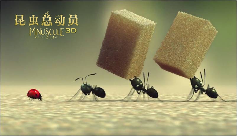http://www.omega3-ala.com/pics/default/download/a840b922cf873518d8d32c71070f150e.jpg